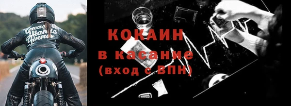 прущие грибы Верея